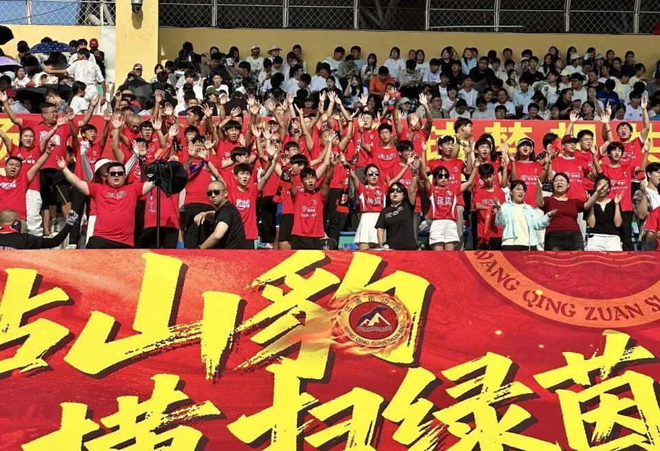 舞狮表演灵, 来源