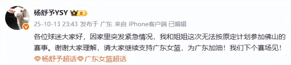 为重要一环, 球迷重逢, dZ